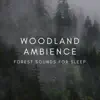 Woodland Creatures song lyrics