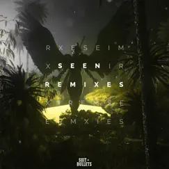 Seen (feat. Veronica Bravo) [Tenka & Skan Remix] Song Lyrics