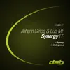 Synergy - Single album lyrics, reviews, download