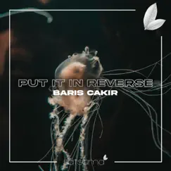 Put It in Reverse - Single by Barış Çakır album reviews, ratings, credits