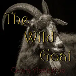 Broken (feat. Jack Narsted, Chris Parr & Manfred Jordt) - Single by The Wild Goat album reviews, ratings, credits