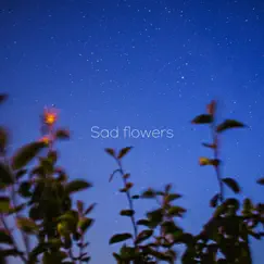 Sad Flowers (feat. NARA) Song Lyrics