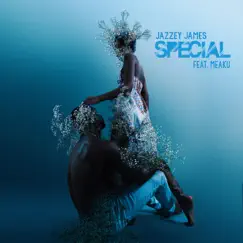 Special (feat. Meaku) - Single by Jazzey James album reviews, ratings, credits
