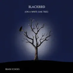 Blackbird (On a White Oak Tree) by Brain Echoes album reviews, ratings, credits