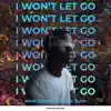 I Won't Let Go - Single album lyrics, reviews, download