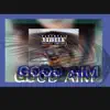 Good Aim (Freestyle) - Single album lyrics, reviews, download