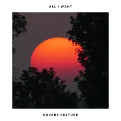 All I Want - Single by Covers Culture album reviews, ratings, credits