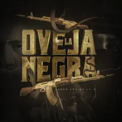 La Oveja Negra - Single by Grupo Los de la O album reviews, ratings, credits
