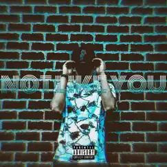 Not Like You - Single by Lost740 album reviews, ratings, credits
