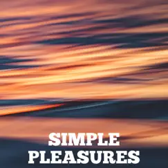 Simple Pleasures - Single by La Chaise album reviews, ratings, credits