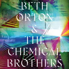 I Never Asked to Be Your Mountain - Single by Beth Orton & The Chemical Brothers album reviews, ratings, credits