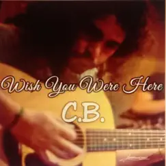 Wish you were here - Single by Claudio Boccardo album reviews, ratings, credits