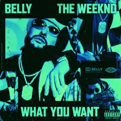 What You Want (feat. The Weeknd) Song Lyrics