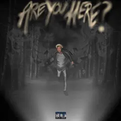 Are You Here? by Josiah Huntzz album reviews, ratings, credits