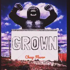Grown - Single by Cheap Flavor album reviews, ratings, credits