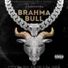 Brahma Bull (feat. Jesus Divine, Ryze Hendricks & King Kihei) - Single album lyrics, reviews, download
