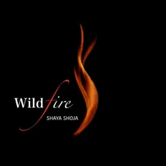 Wildfire - Single by Shaya Shoja album reviews, ratings, credits