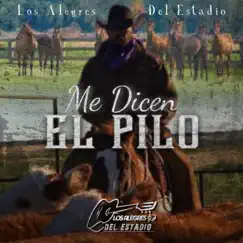 Me Dicen El Pilo - Single by Los Alegres Del Estadio album reviews, ratings, credits