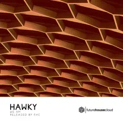 Hawky - Single by We AM album reviews, ratings, credits