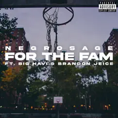 For the Fam (feat. Big Havi & Brandon Jeice) - Single by NegroSage album reviews, ratings, credits