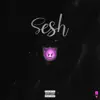 Sesh - Single album lyrics, reviews, download