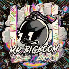 Mr. BigBoom Song Lyrics