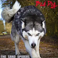 Bad Dog - Single by The Sand Spiders album reviews, ratings, credits
