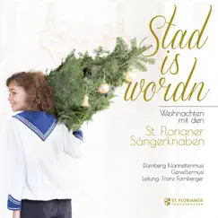 Stad is wordn by St. Florianer Sängerknaben, Dürnberg Klarinettenmusi & Genießermusi album reviews, ratings, credits