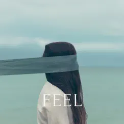 Feel (feat. Jae Jae) Song Lyrics