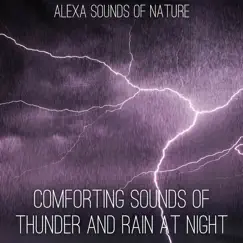Heavy Rainstorm and Thunder at Night Song Lyrics