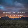 !!!" Sonidos De Tormenta En La Naturaleza "!!! album lyrics, reviews, download