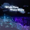 Wish You Were Here - Single album lyrics, reviews, download