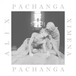 Pachanga (Niño Árbol + Luzius Remix) Song Lyrics