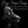 Dog Sleep Songs: Speciality Music for Dog and Puppy Relaxation album lyrics, reviews, download
