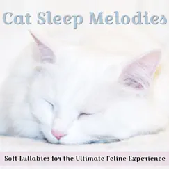 Cat Sleep Melodies: Soft Lullabies for the Ultimate Feline Experience by Cat Music Dreams, Cat Music Therapy & RelaxMyCat album reviews, ratings, credits