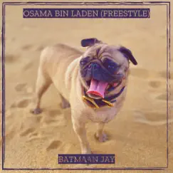 Osama Bin Laden (Freestyle) - Single by Batmaan Jay album reviews, ratings, credits