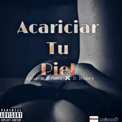 Acariciar Tu Piel (feat. D-Money) Song Lyrics