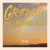 Grongan Pijawak Onu - Single album lyrics, reviews, download