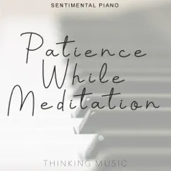 Patience While Meditation (Sentimental Piano) by Thinking Music album reviews, ratings, credits