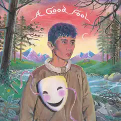 A Good Fool by Michael Seyer album reviews, ratings, credits