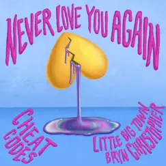 Never Love You Again (with Little Big Town & Bryn Christopher) Song Lyrics