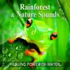 Rainforest & Nature Sounds: 50 Healing Power of Water (Rain, River, Ocean and Sea) Music for Sleep and Relaxation, Free Your Mind & Relax Better, Deep Waves Meditation album lyrics, reviews, download