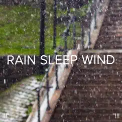 Rain on Window Song Lyrics