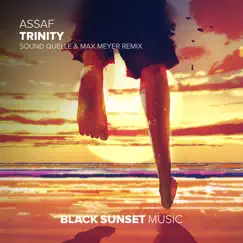 Trinity (Sound Quelle & Max Meyer Remix) - Single by Assaf album reviews, ratings, credits