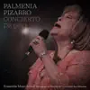 Concierto de Oro (feat. Ensamble de la Universidad de San Sebastian & Sebastián Errázuriz) album lyrics, reviews, download