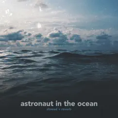 Astronaut In the Ocean (Slowed + Reverb) - Single by Ghostly echoes, Creamy & 11:11 Music Group album reviews, ratings, credits