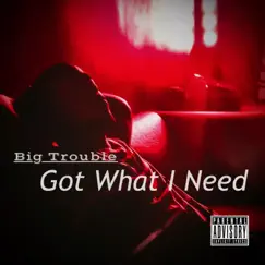 Got What I Need (Radio Edit) [Radio Edit] - Single by Big Trouble album reviews, ratings, credits