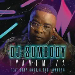 Iyamemeza (feat. Drip Gogo & The Lowkeys) - Single by DJ Sumbody album reviews, ratings, credits