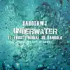 Underwater (feat. Frosty, Mikial, 3D & Randola) - Single album lyrics, reviews, download