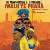 iWalk Ye Phara (feat. Moonchild Sanelly, K.O. & Zulu Mkhathini) - Single album lyrics, reviews, download